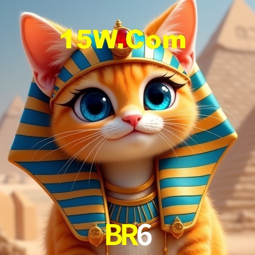 Programa VIP BR6